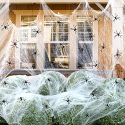 Spider Webs Decorations